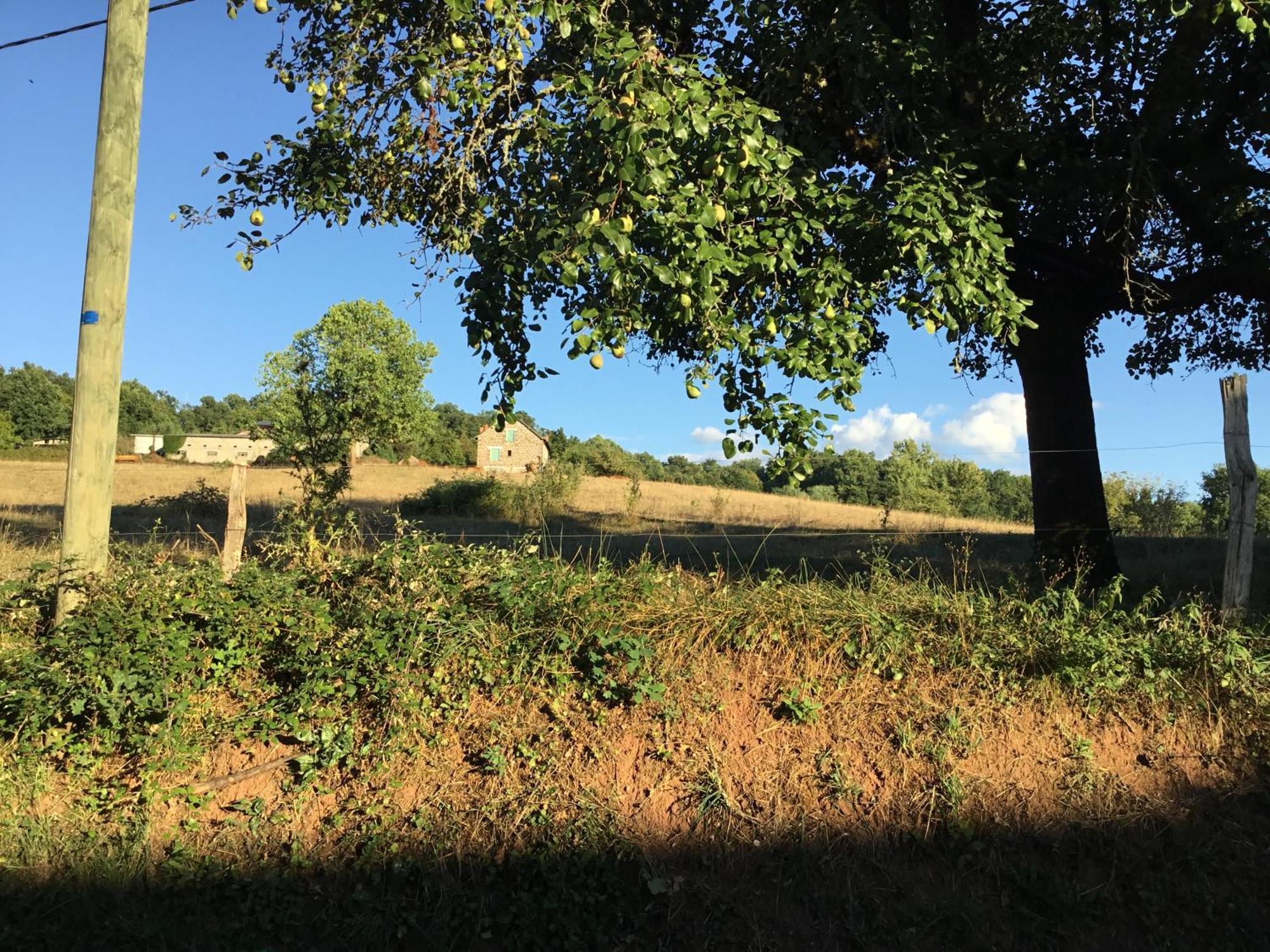 Le Clos De Rose Ussac Bagian luar foto